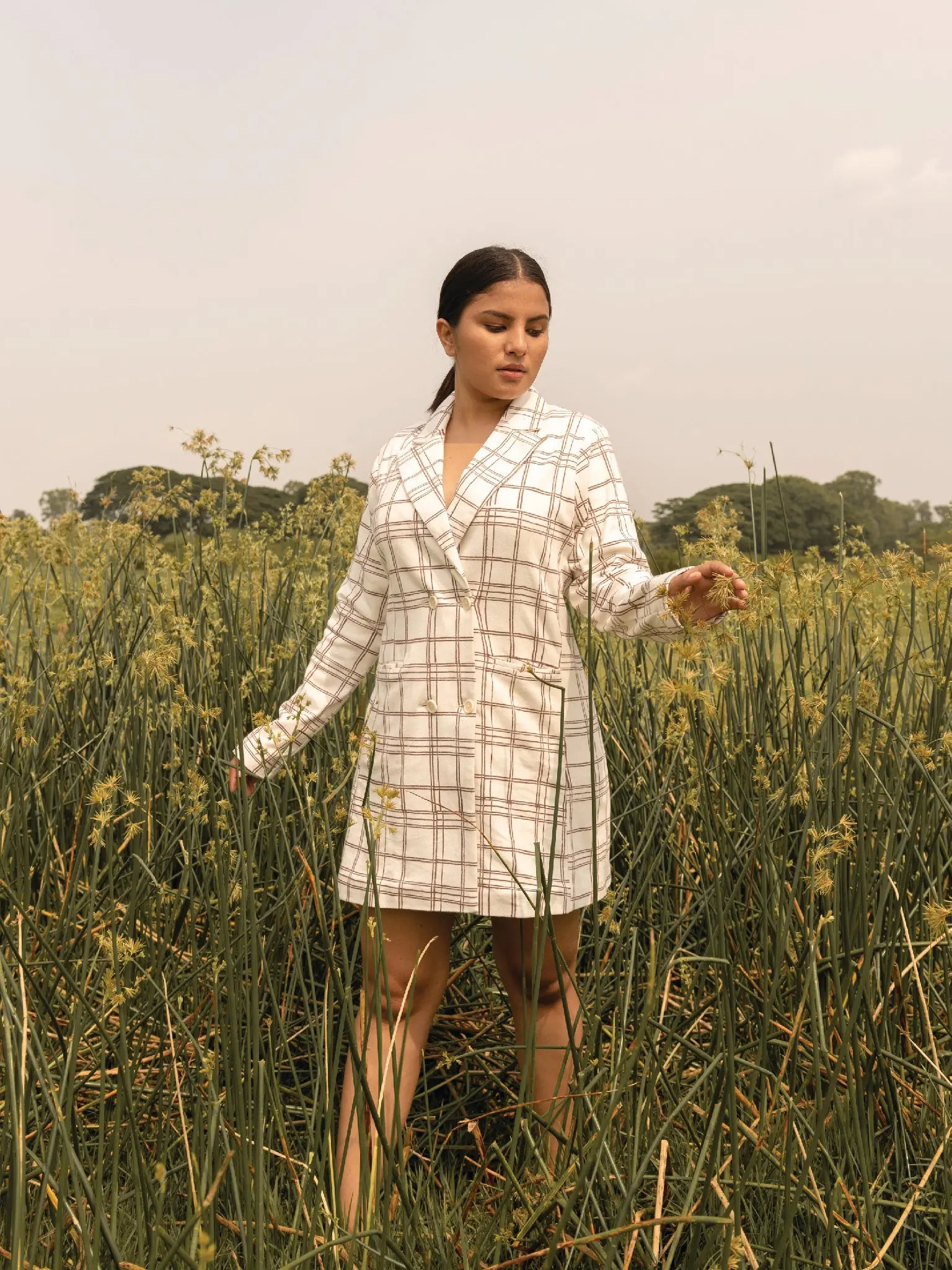 Bay Window Blazer Dress - Almond Story