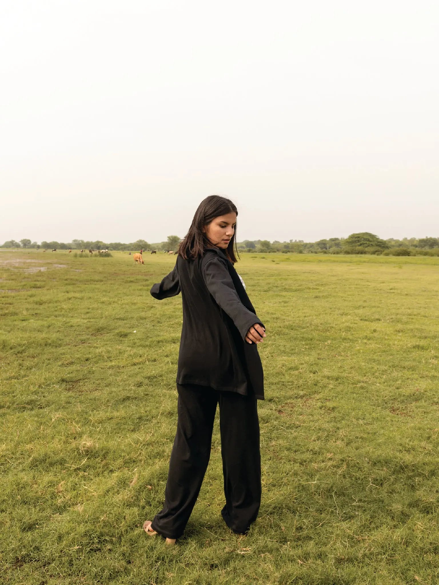 Midnight Sky Overlay - Almond Story