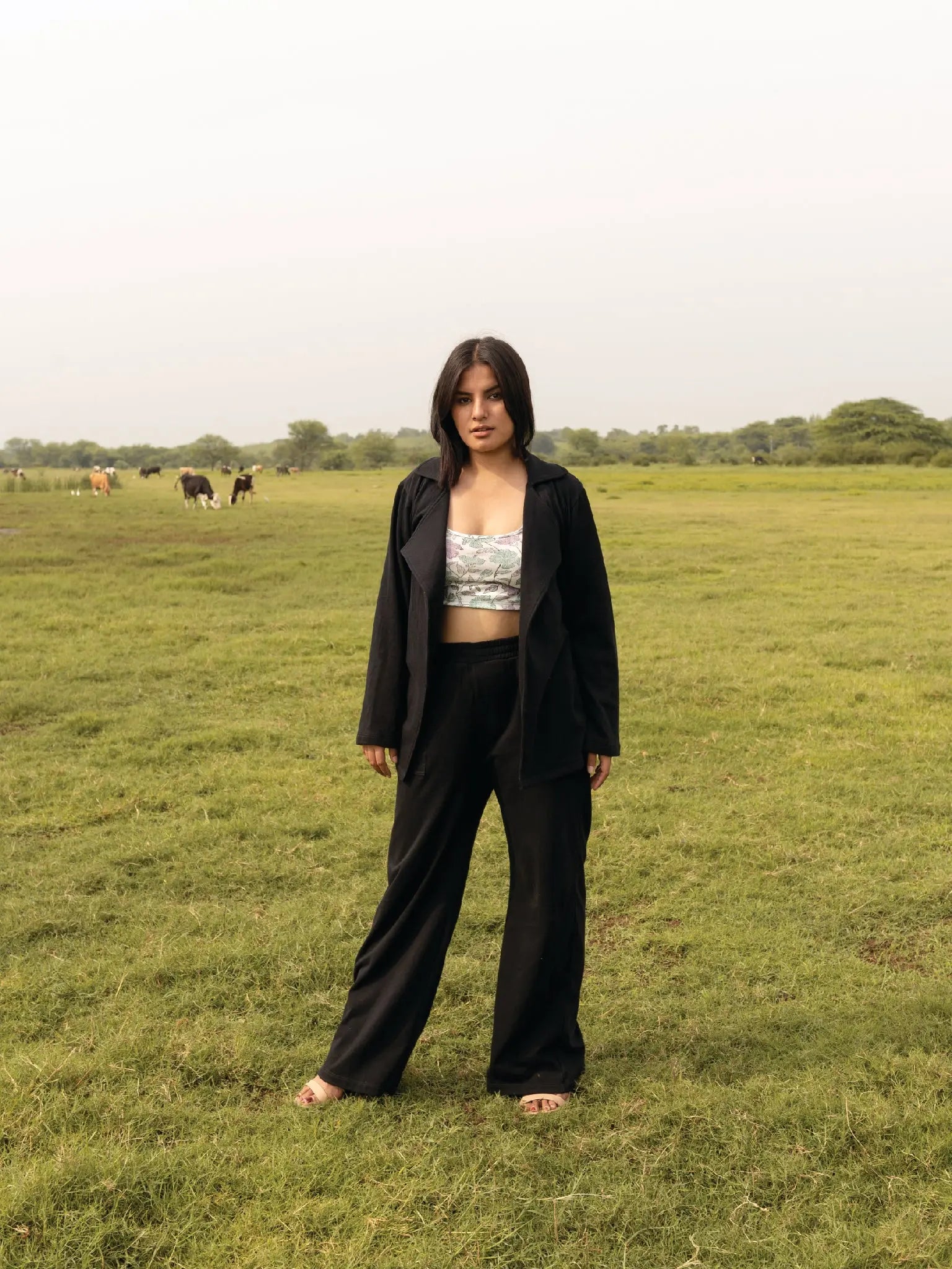 Midnight Sky Overlay - Almond Story